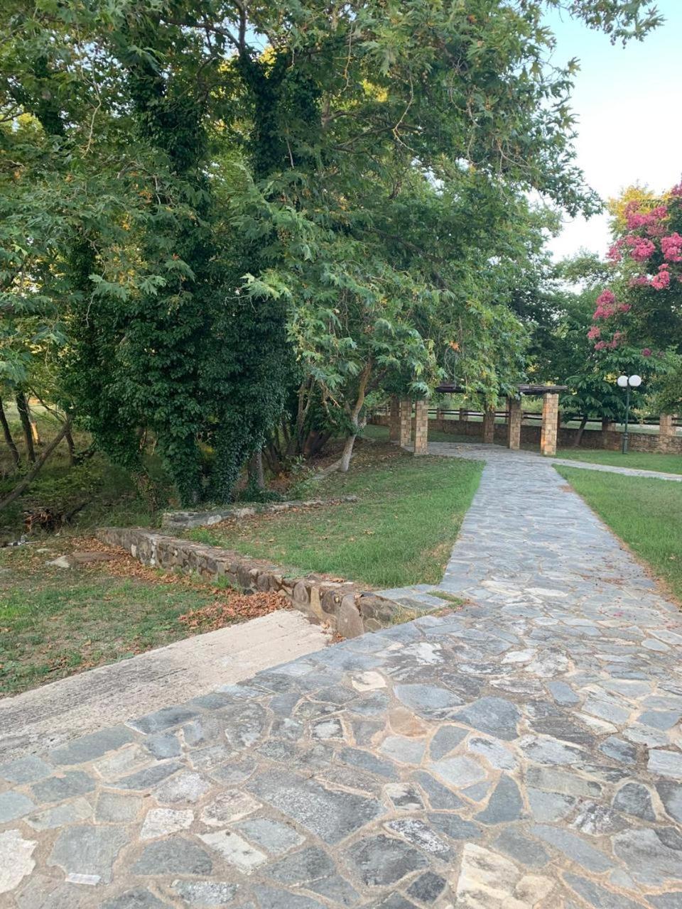 Platanorema Agios Ioannis Prodromos Luaran gambar
